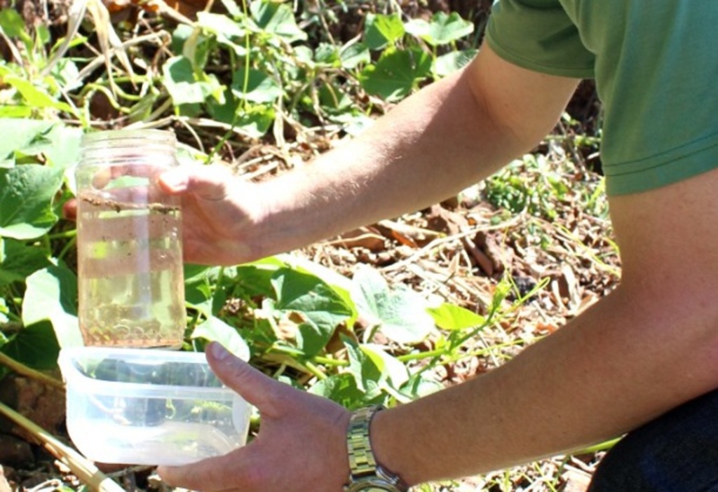 Decreto autoriza entrada de agentes nos imóveis