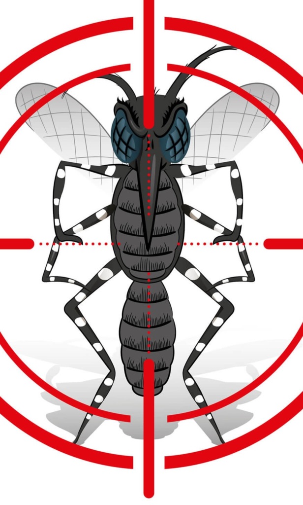 Hoje é dia de grande mobilização no centro