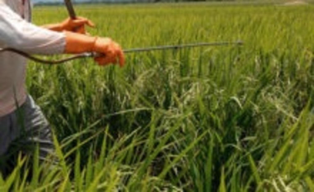 PM de Descanso registra furto de fungicida em São Valentin