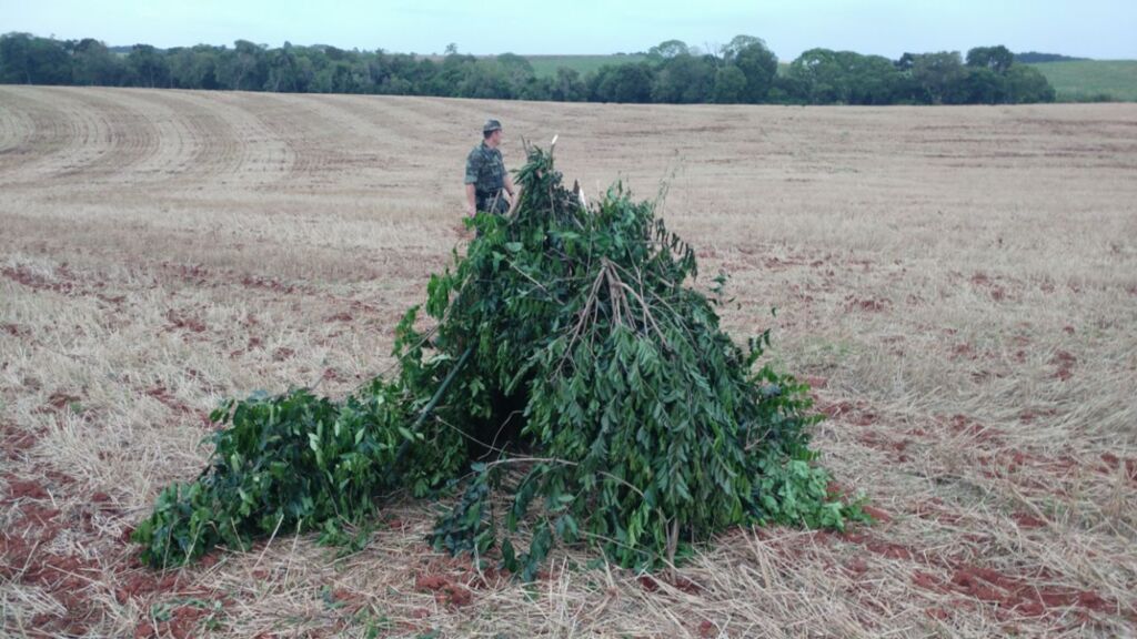 Polícia Militar Ambiental realiza fiscalização