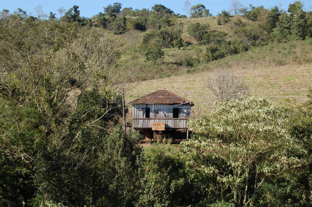  - Foto enviada pelo Leitor Clenio Pilatti.