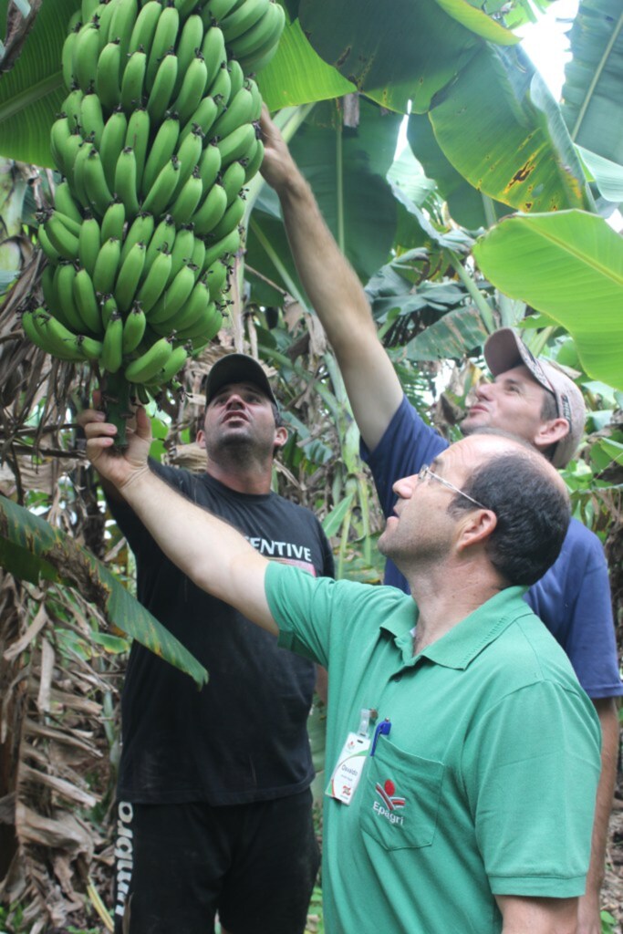 Roberson Wagner/Folha do Oeste - 