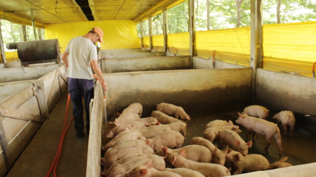 Roberson Wagner/Folha do Oeste - 