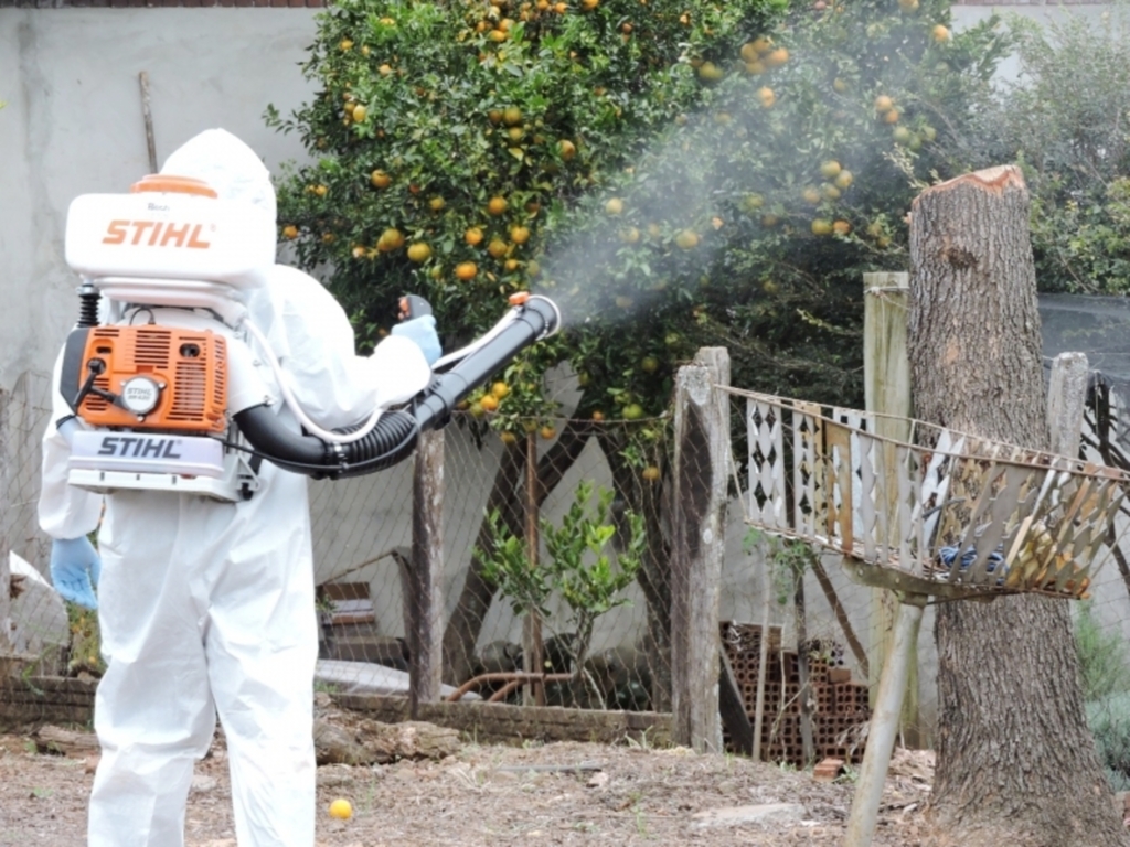 Infestação exige maior rigor no combate ao Aedes aegypti