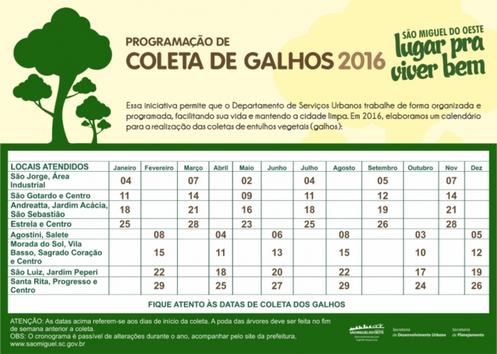 Coleta de lixo vegetal começa nesta segunda-feira