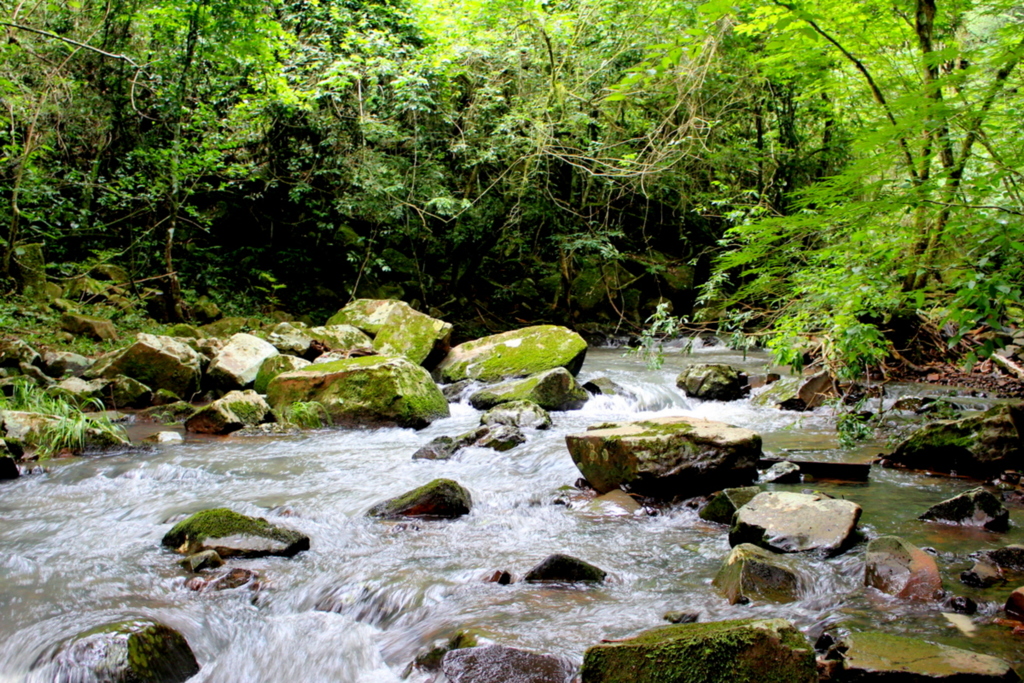 Ana Liebert/Folha do Oeste - 