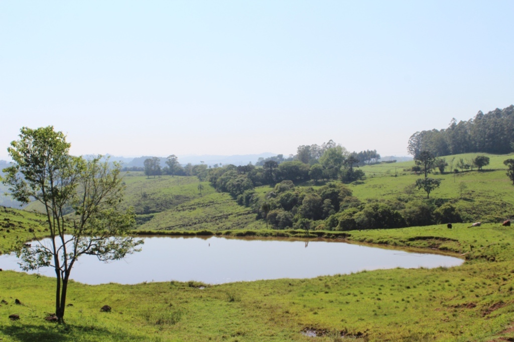 Liange Gattermann/Folha do Oeste - 