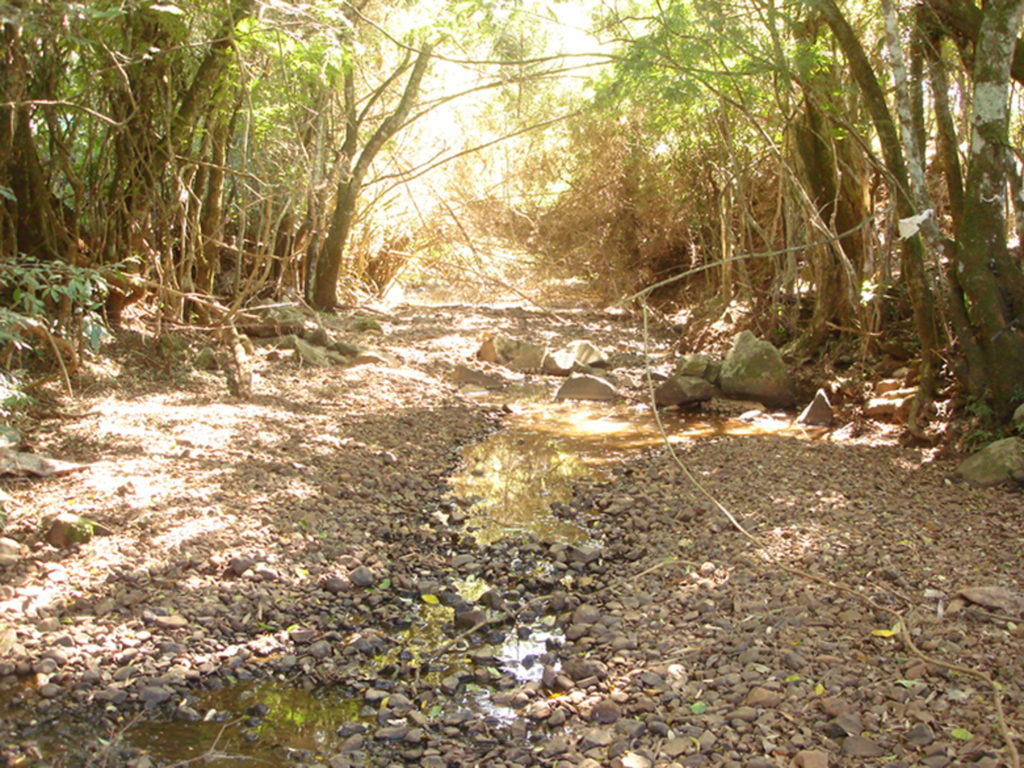 Roberson Wagner/Arquivo Folha do Oeste - 