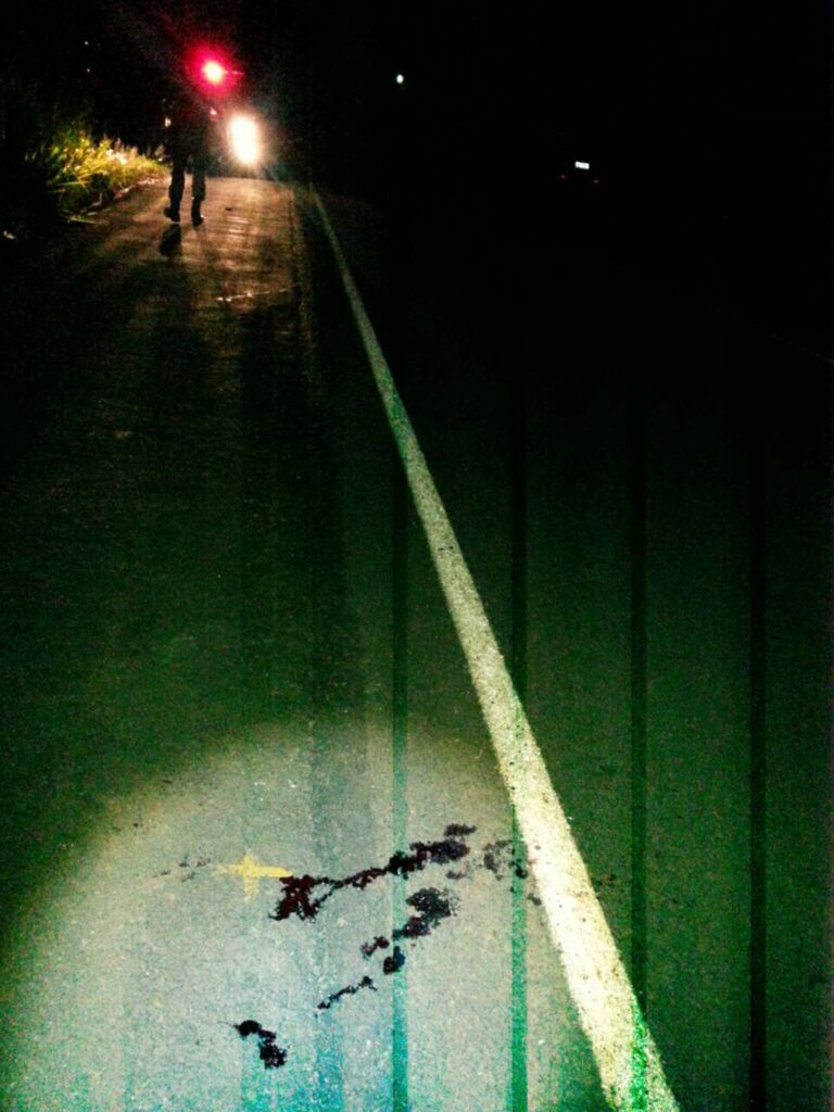 Motorista foge após atropelar homem na BR 282 em Paraíso
