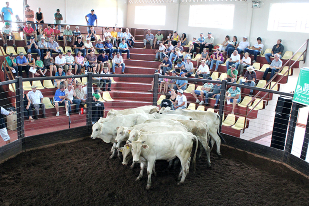 Roberson Wagner/Folha do Oeste - 