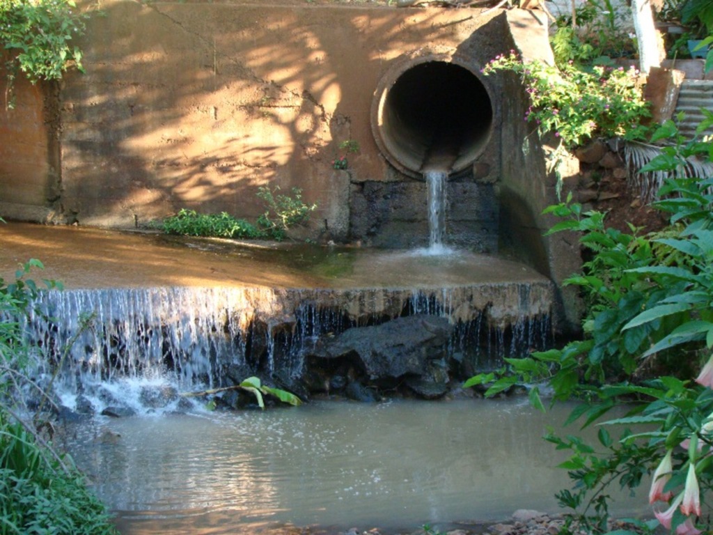 Roberson Wagner/Folha do Oeste - 