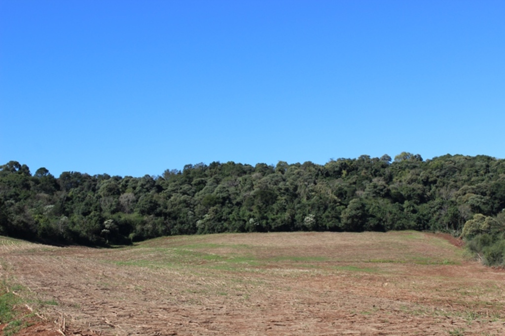 Liange Gattermann/Folha do Oeste - 