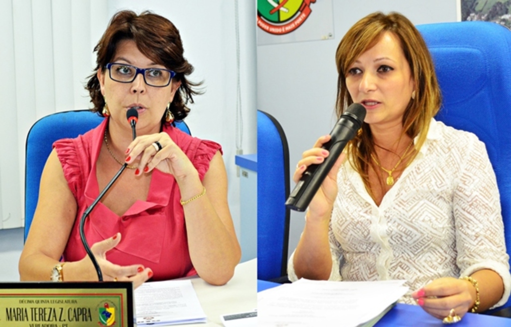 Montagem sobre fotos de Tiarajú Goldschmidt/Câmara de Vereadores - 