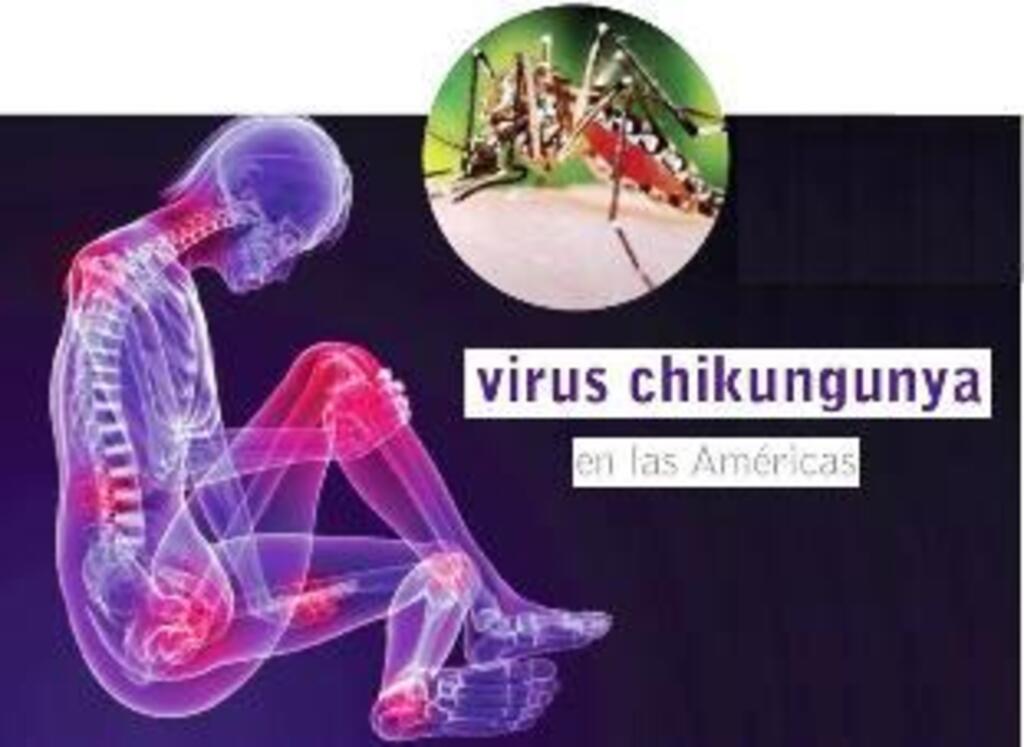 Saúde de São Miguel investiga caso suspeito de Chikungunya