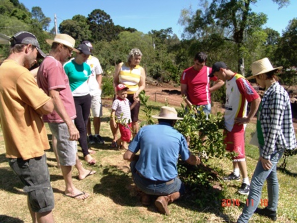 Epagri de Bandeirante realiza oficina de fruticultura