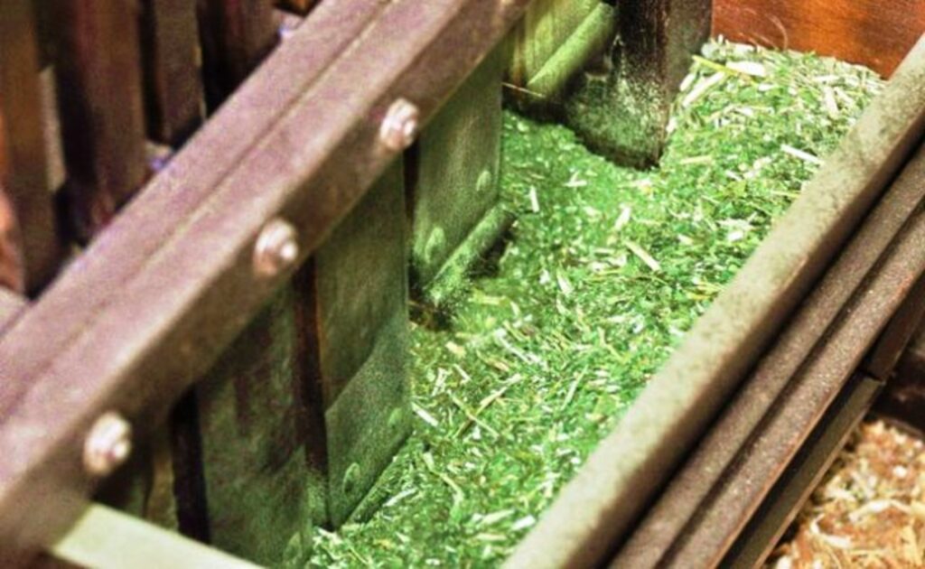 Ervateiras firmam acordo com MPT para combater trabalho análogo a de escravo