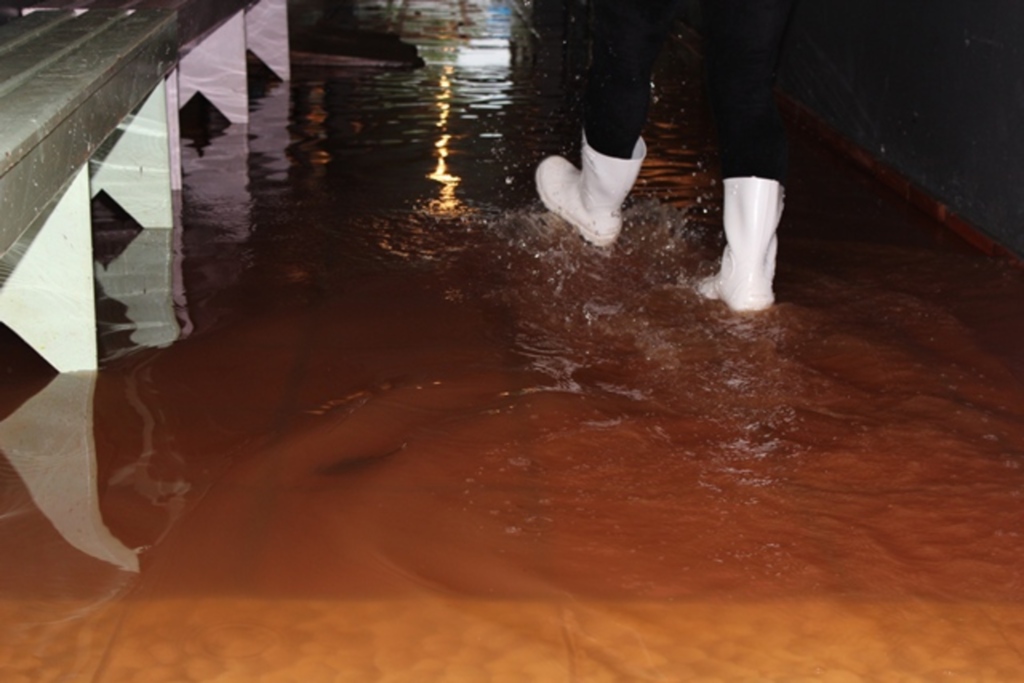 Drieli /Folha do Oeste - 