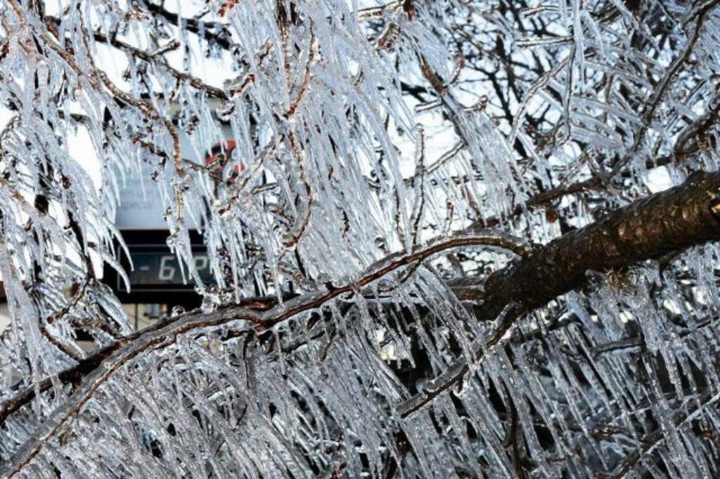 Lucas Rocha, arquivo pessoal - 