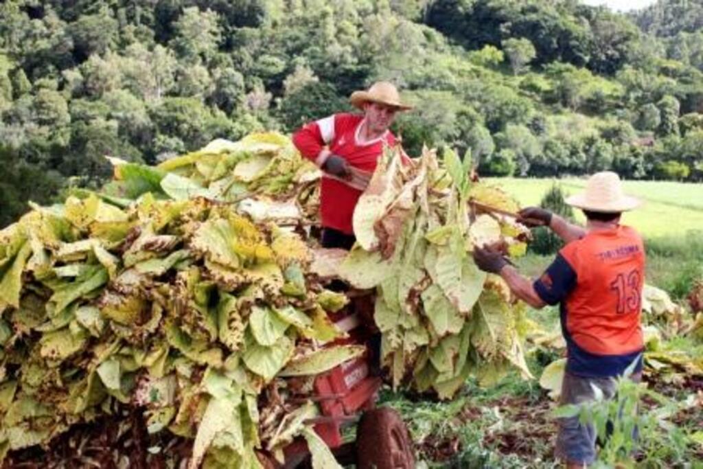 Roberson Wagner/Folha do Oeste - 