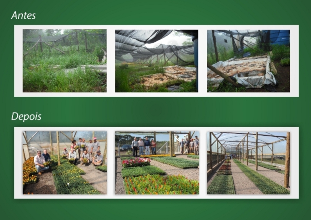 Ascom Prefeitura de SMOeste - Viveiro estava praticamente abandonado