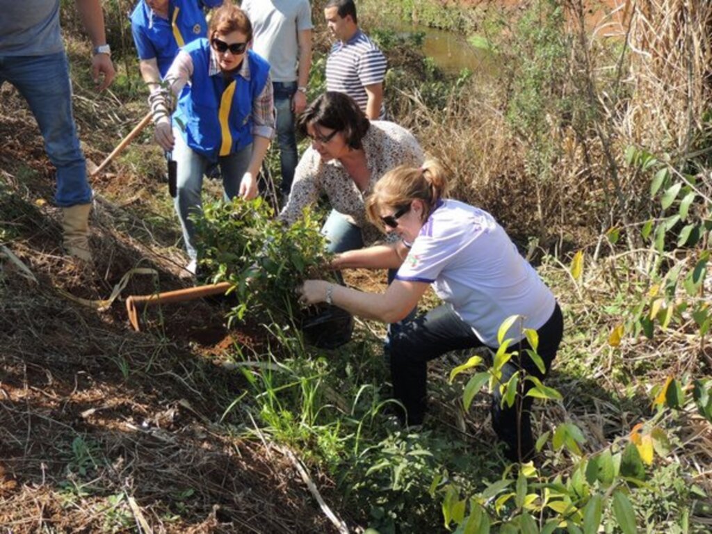 Ascom Prefeitura de São Miguel do Oeste - Plantio foi realizado pelos integrantes do Lions Universidade em parceria com a administração