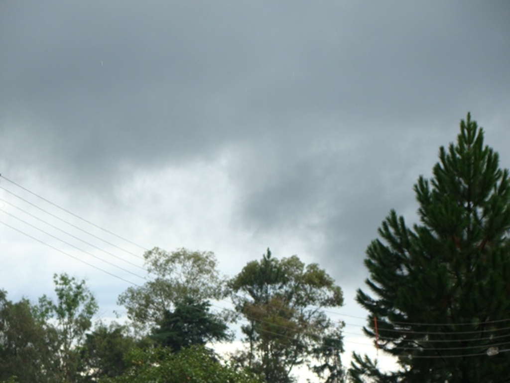 Arquivo Folha do Oeste - 