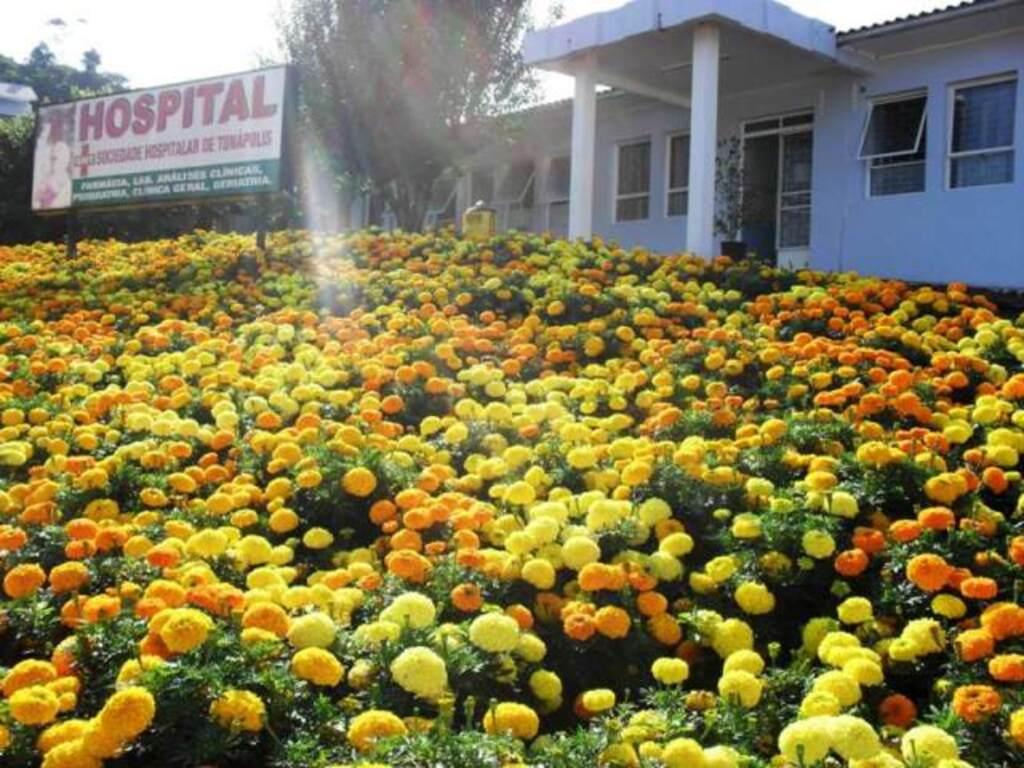 Ascom Prefeitura de Tunápolis - 