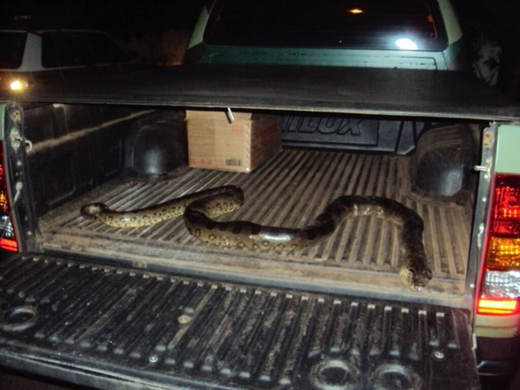 Polícia Militar Ambiental - 