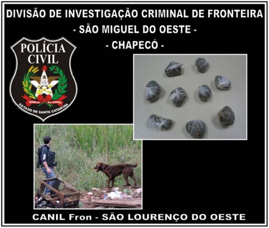 Polícia Civil - Droga estava acondicionada em embalagens e pronta para a venda