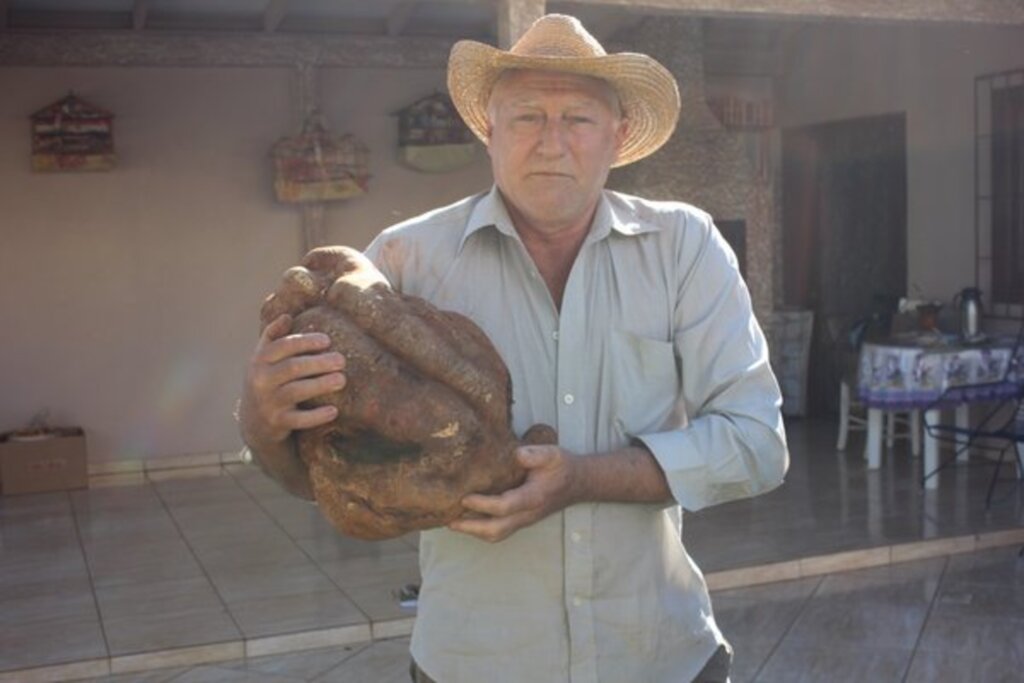 Folha do Oeste - Bianchi conta que ficou surpreso com o tamanho da batata doce