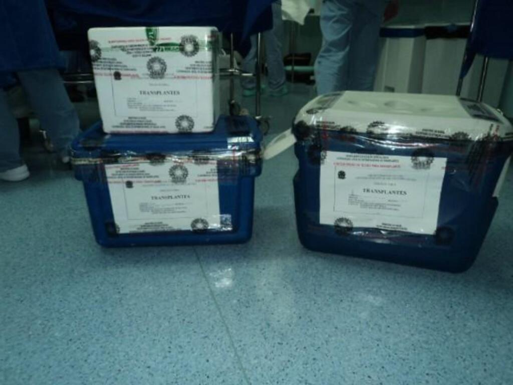 Divulgação - O procedimento foi realizado pela equipe da SC Transplantes, de Florianópolis