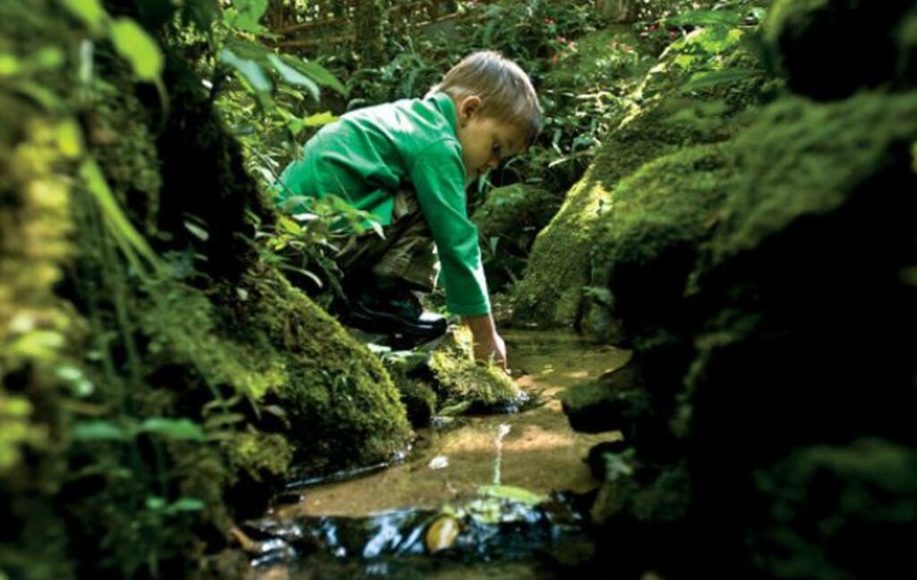 Divulgação - Tema desta 1ª edição será: 