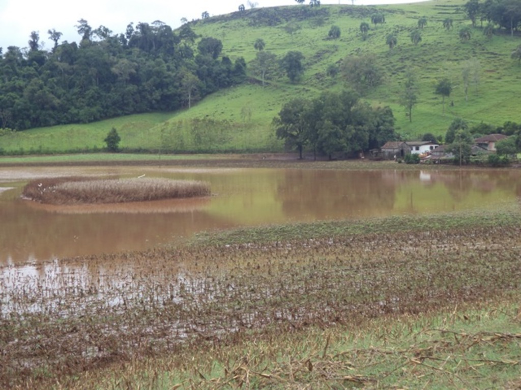 Divulgação - Lavouras de soja e milho estavam prontas para a colheita