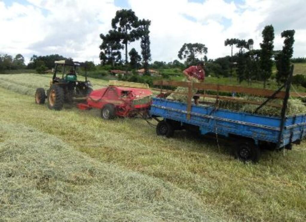 Divulgação - Por ano produtor de feno diz que confeccionava cerca de 70 mil fardos