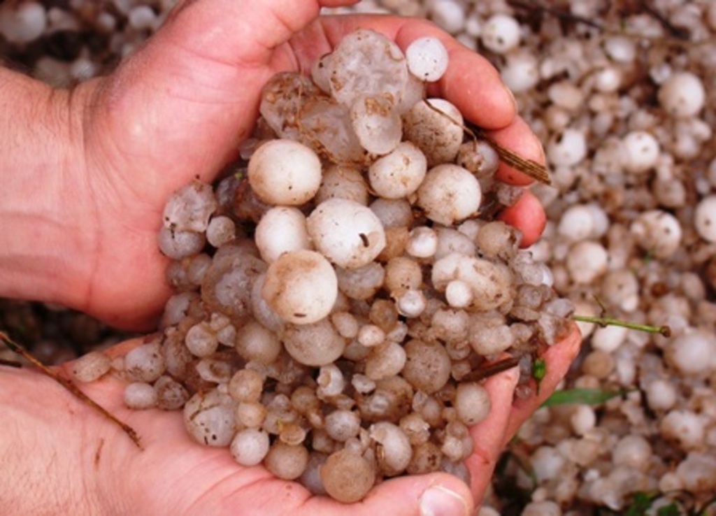 Divulgação - Em Guarujá do Sul foram registrados mais de 15 minutos de granizo