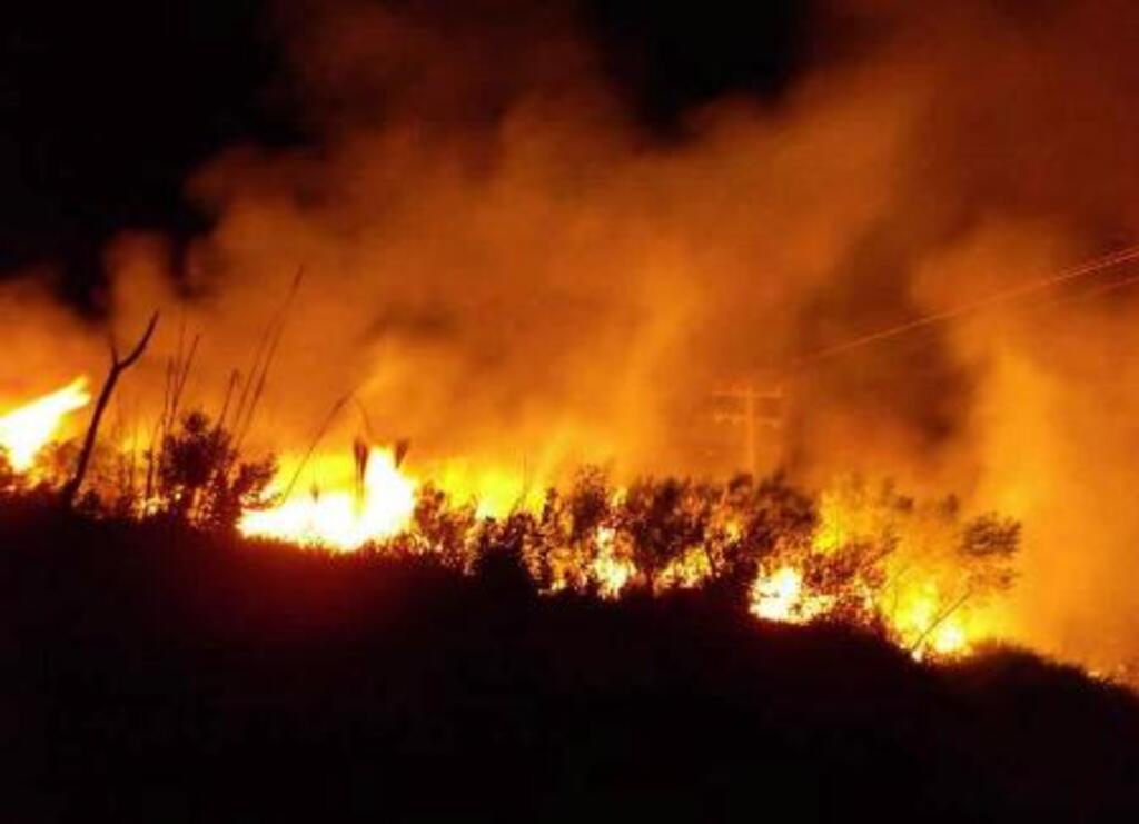 José Beato - Curto circuito acabou provocando incêndio em plantação de erva-mate
