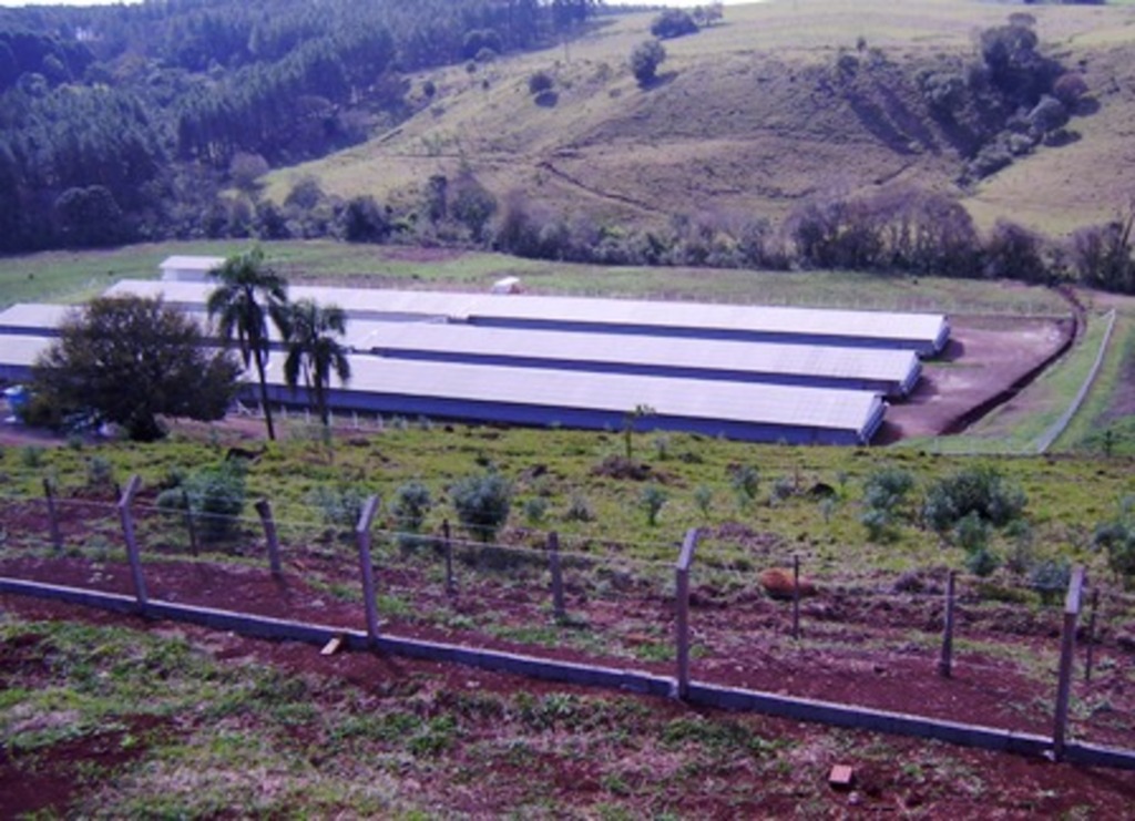 Folha do Oeste - Aviários tem um total de 165 metros de comprimento