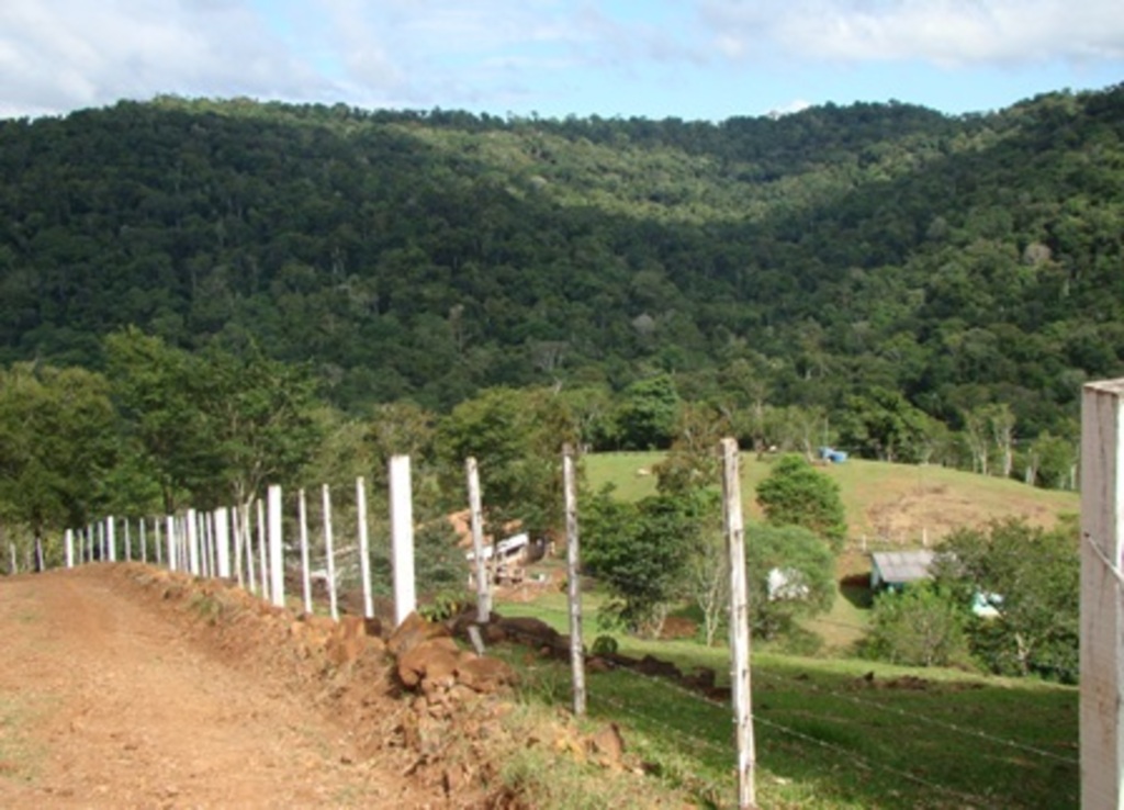 Folha do Oeste - Texto base do Código Florestal foi aprovado com 274 votos a favor, 184 contra e duas abstenções