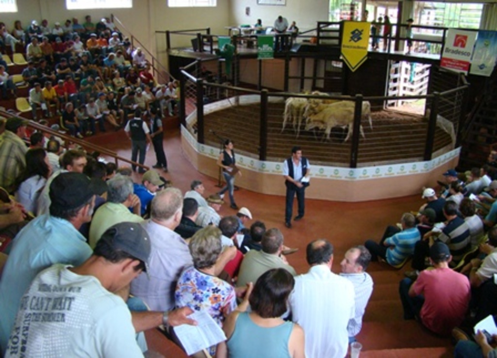 Divulgação - Remate Geral de Gado inicia às 13h30 do próximo sábado, dia 28