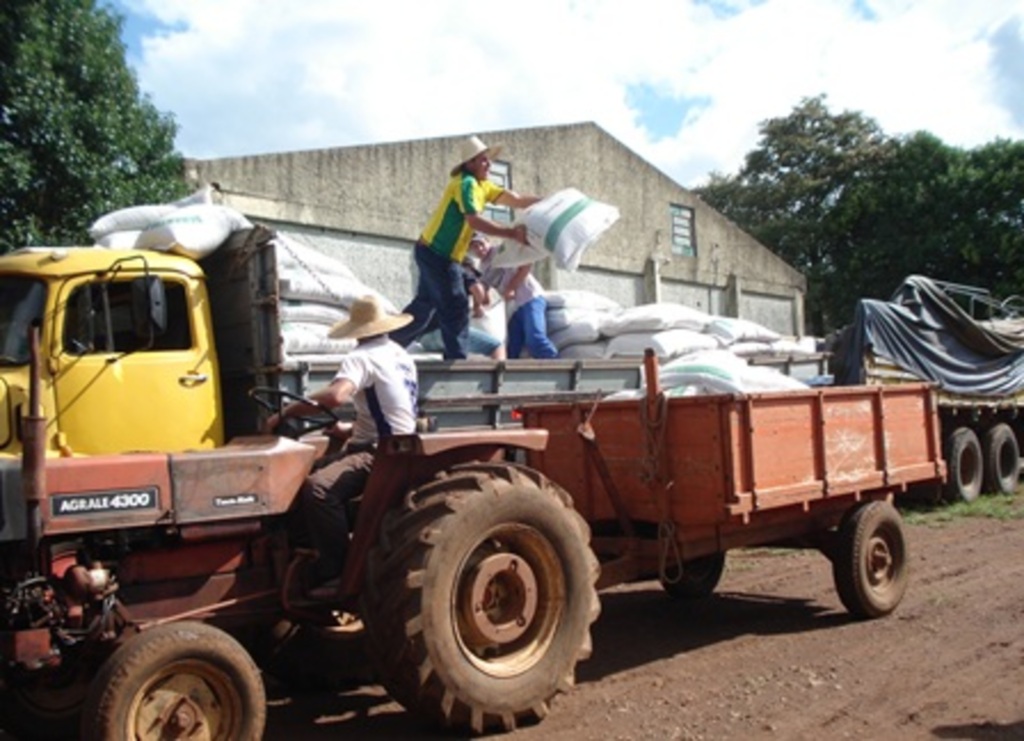 Divulgação - Agricultores retiram pessoalmente as sementes nas comunidades