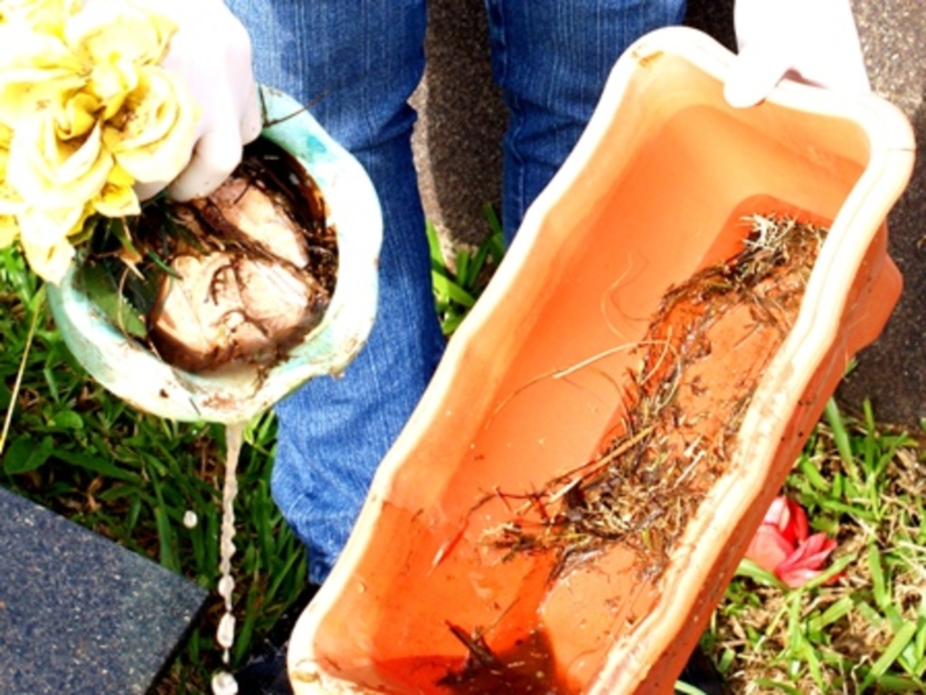 Arquivo/Folha do Oeste - Pedido é de atenção com o acúmulo de água em pneus