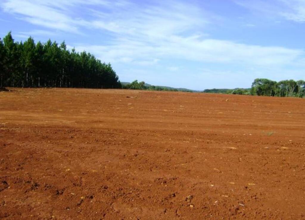 Divulgação - Serviços de terraplanagem já estão prontos