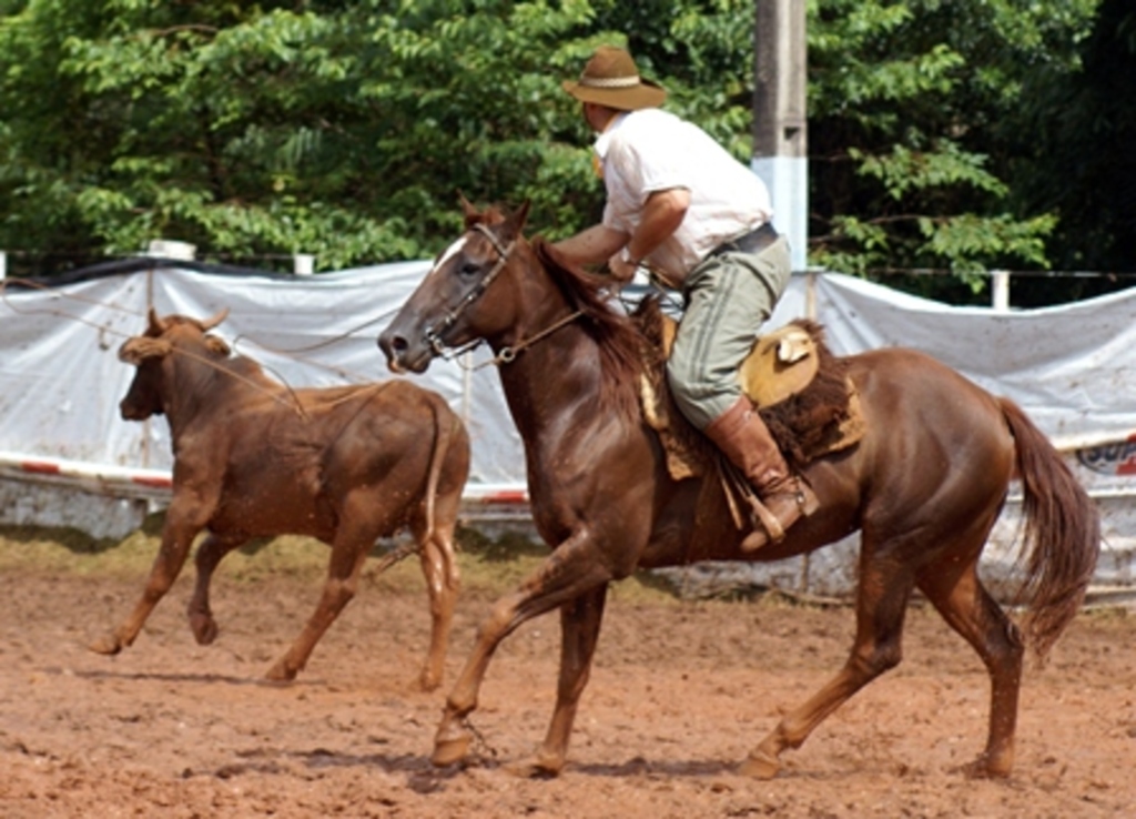 Arquivo/Folha do Oeste - Espectativa é que o sucesso das edições anteriores se repita