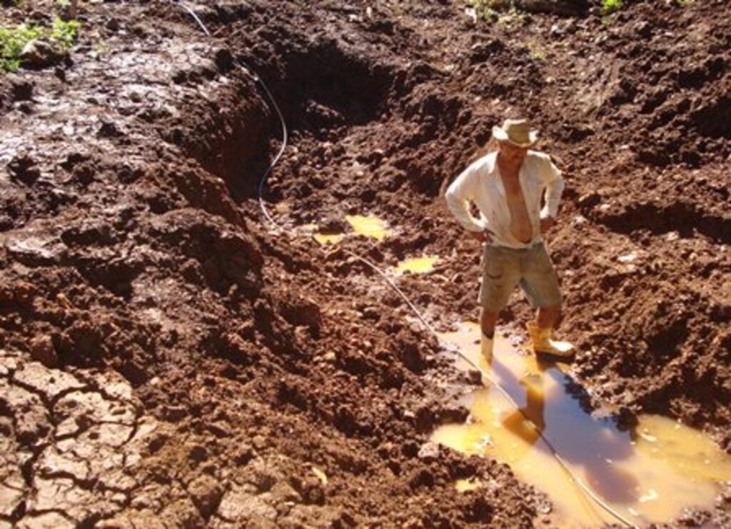 Divulgação - Anchieta, Bandeirante, Barra Bonita, Descanso, Mondaí, São José do Cedro e São João do Oeste são cidades do extremo oeste que tiveram o pagamento antecipado do Bolsa Família