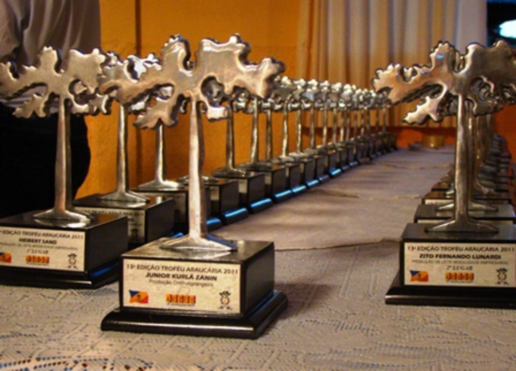 Folha do Oeste - Neste ano, 40 representantes do município foram premiados