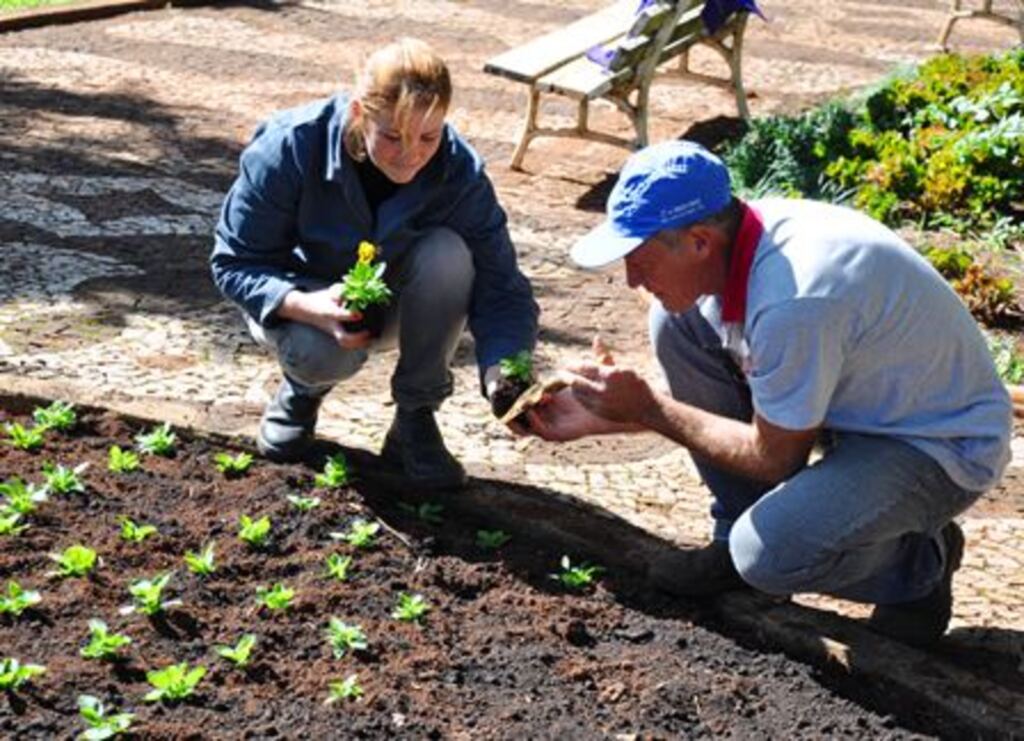 Assessoria Pref. - Plantio realizado no início deste ano