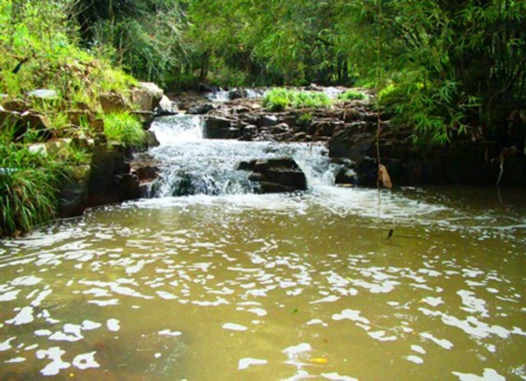 Folha do Oeste - Falta de saneamento faz com que o Rio Guamerim seja o destino do esgoto de boa parte da população de SMOeste