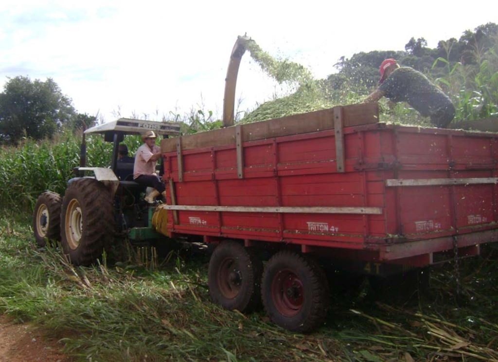Folha do Oeste - Uma das palestras abordará sobre a produção de silagem