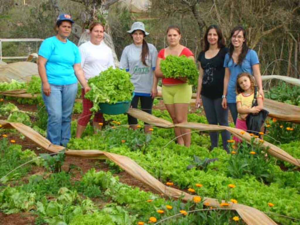 Folha do OEste - Famílias envolvidas no projeto da horta comunitária
