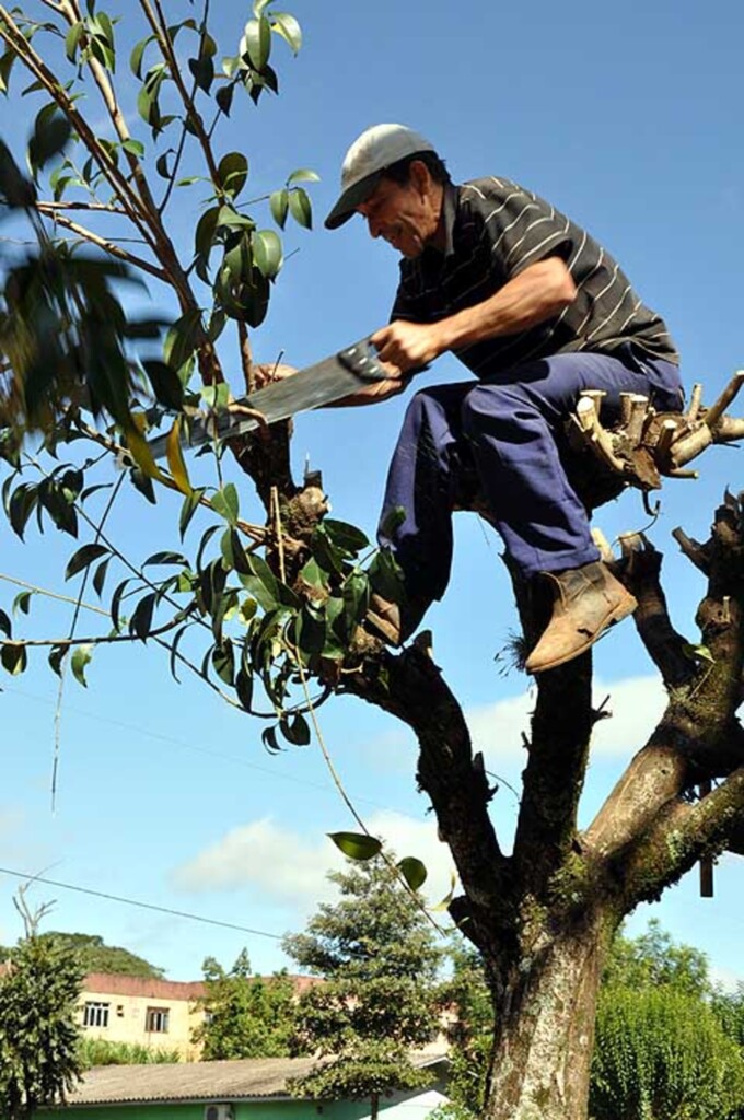 Assessoria Prefeitura - 